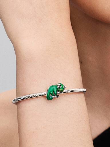 Bedel Disney Rapunzel Pascal kleurveranderend