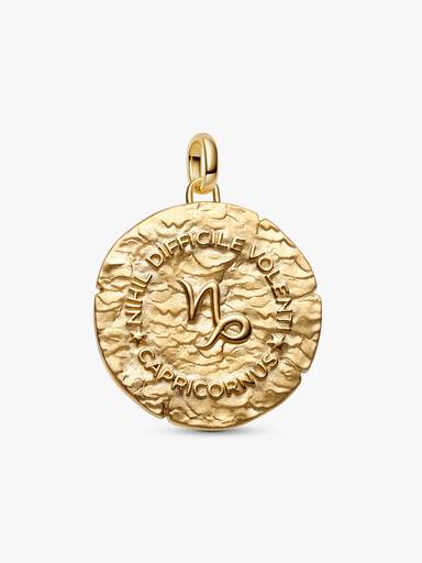 Charm Médaillon XL Zodiaque Capricorne