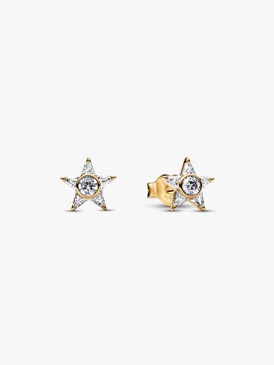 Clous d’Oreilles Étoiles Scintillantes
