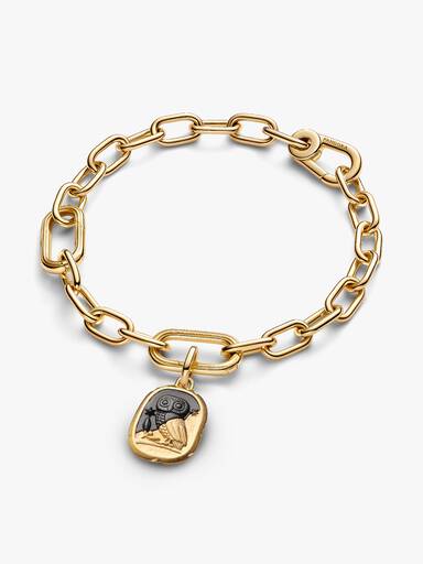 Charm Médaillon Hibou