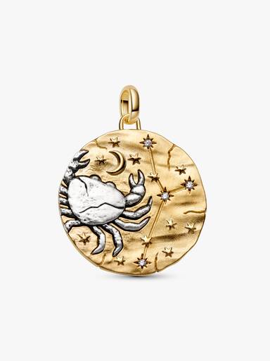 Charm Médaillon XL Zodiaque Cancer