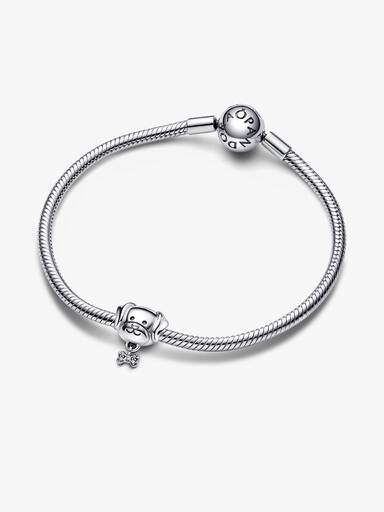 Charm Chien & Os