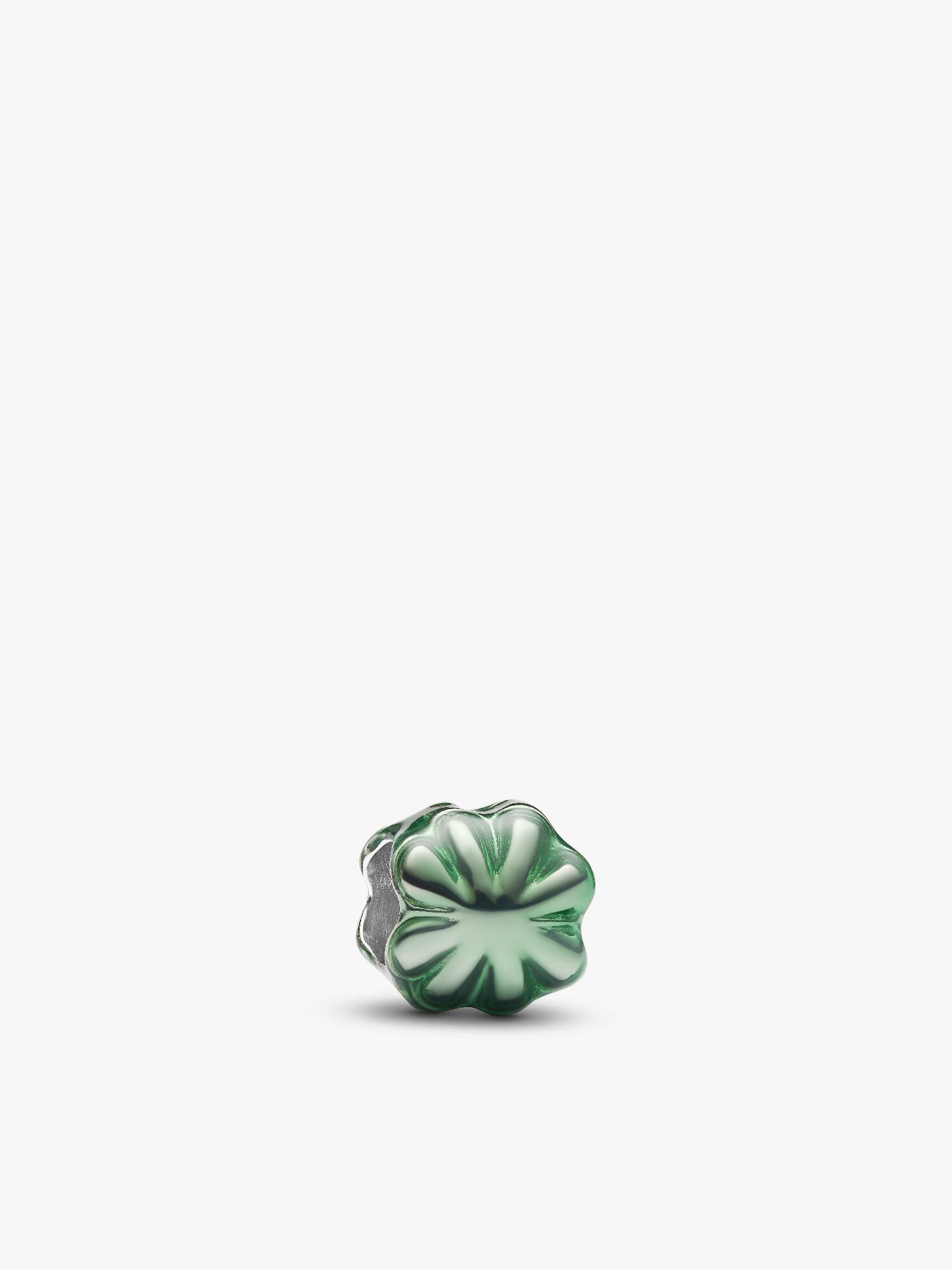 Groen Klavertje Vier Minibedel
