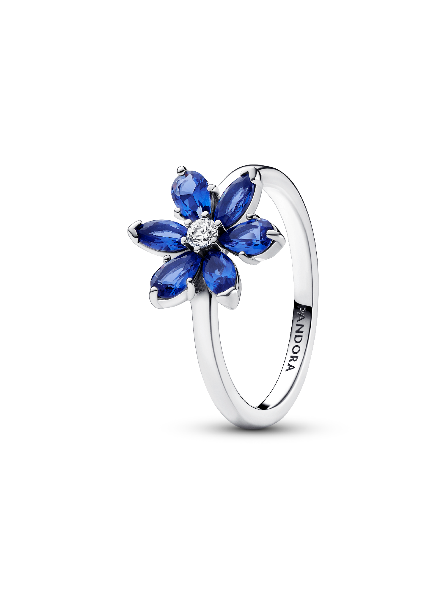 Sprankelende Herbarium Cluster Ring