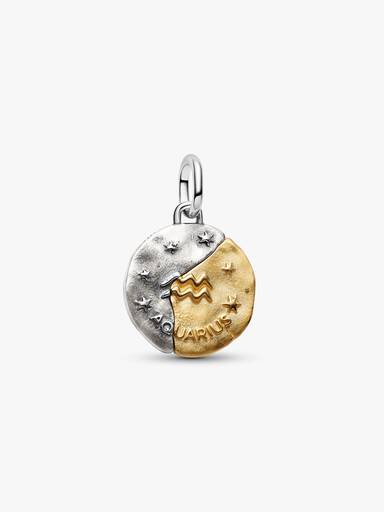 Charm Médaillon Zodiaque Verseau