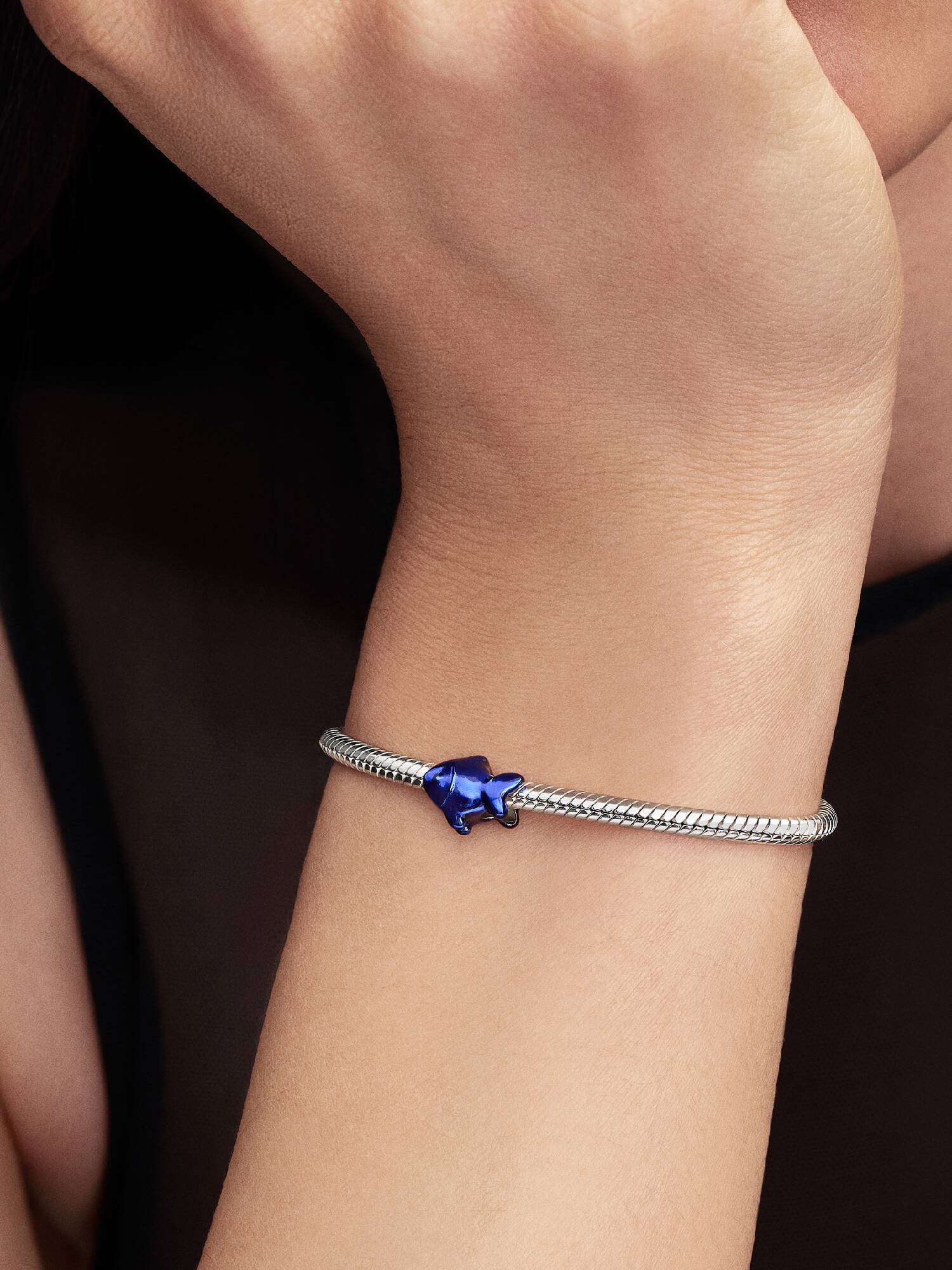 Blauwe Vis Minibedel