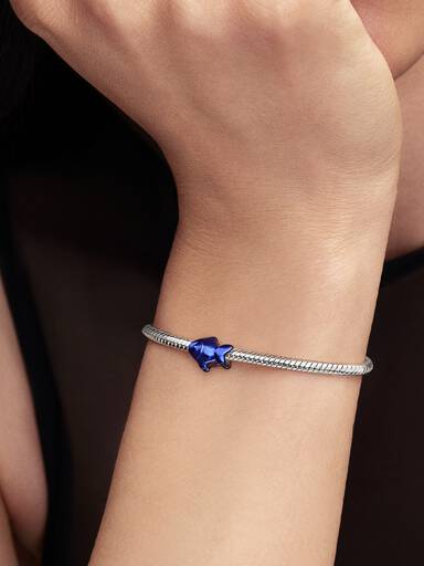 Blauwe Vis Minibedel