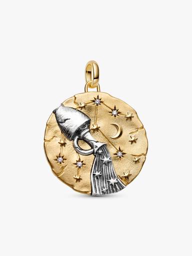 Charm Médaillon XL Zodiaque Verseau
