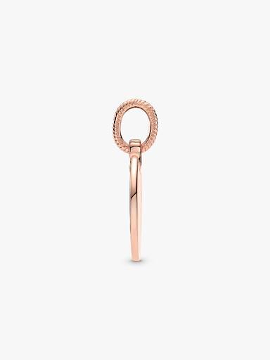 Rond Plaatje Hanger