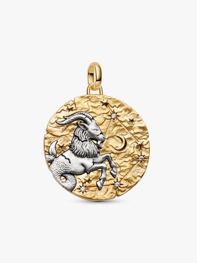 Charm Médaillon XL Zodiaque Capricorne