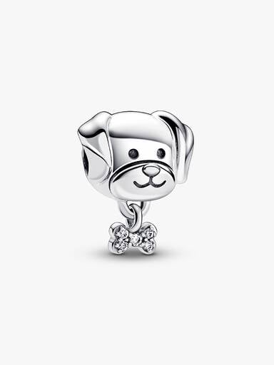 Charm Chien & Os