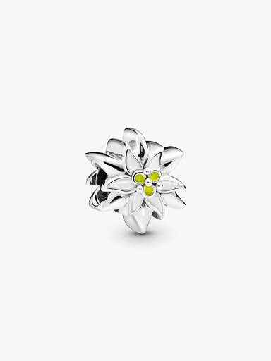 Charm Edelweiss