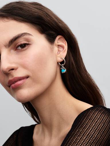 Turquoise Walvis Hangende Bedel