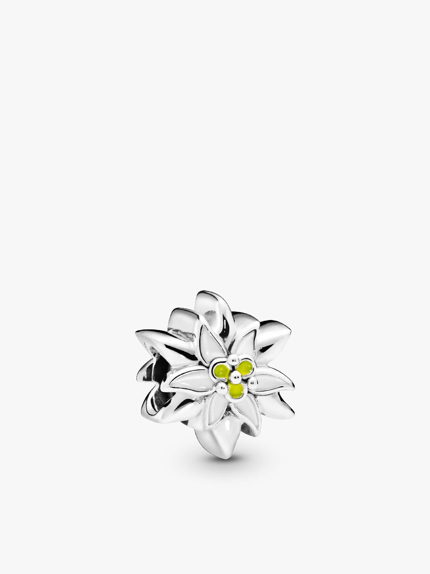 Charm Edelweiss