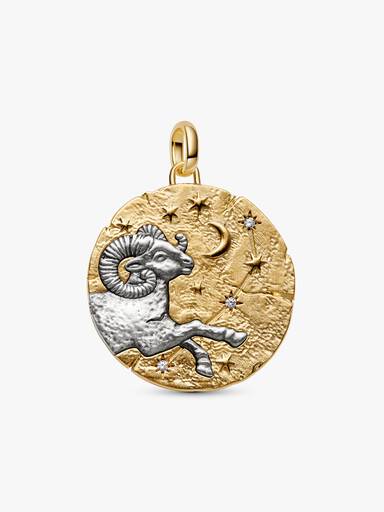 Ram Dierenriem Oversized Medaillonbedel