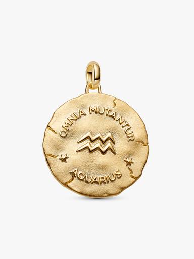 Charm Médaillon XL Zodiaque Verseau