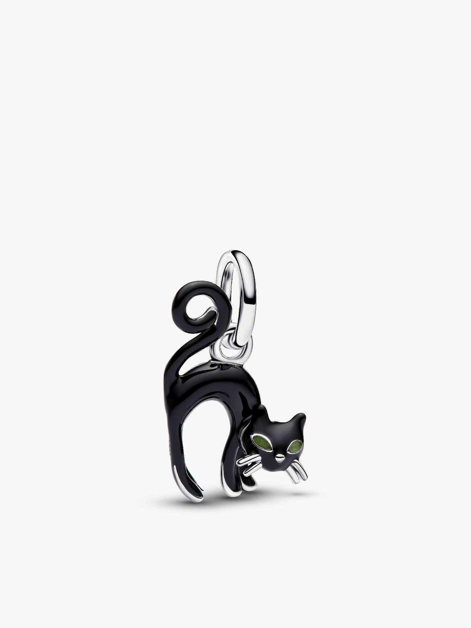 Zwarte kat Hangende Bedel