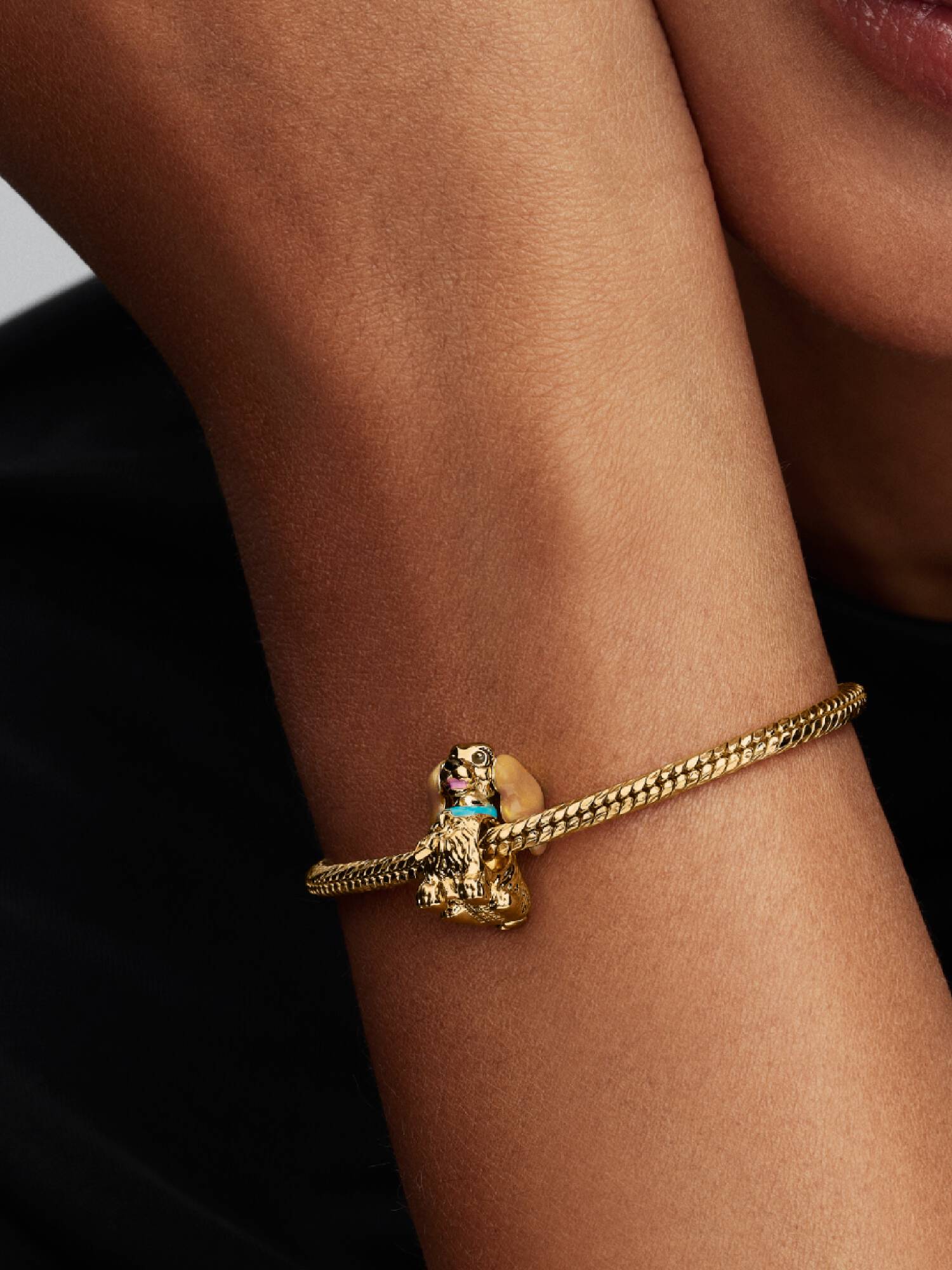 Charm Disney La Belle 