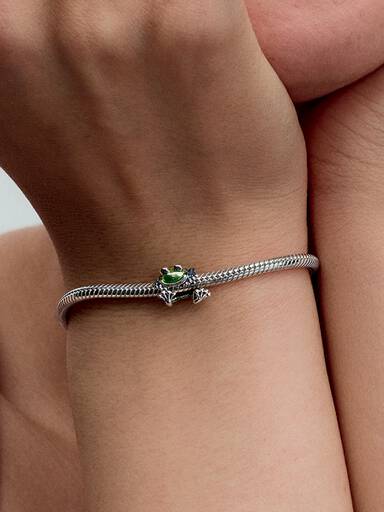 Charm Grenouille Grimpante