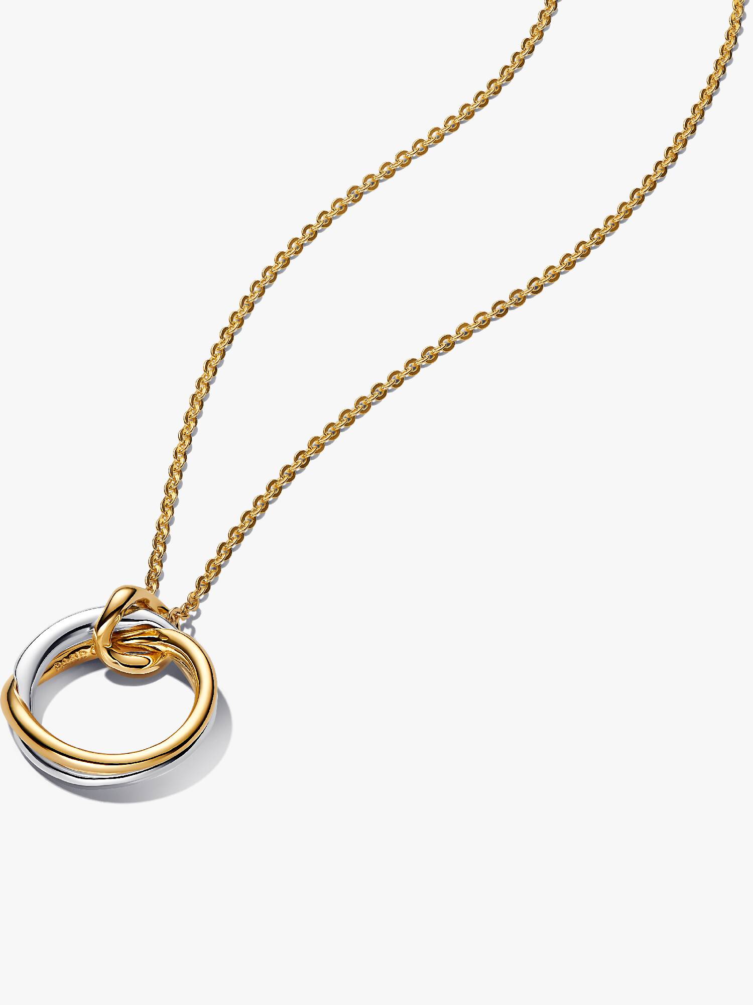 Organisch Gevormde Ketting met Tweekleurige Hanger