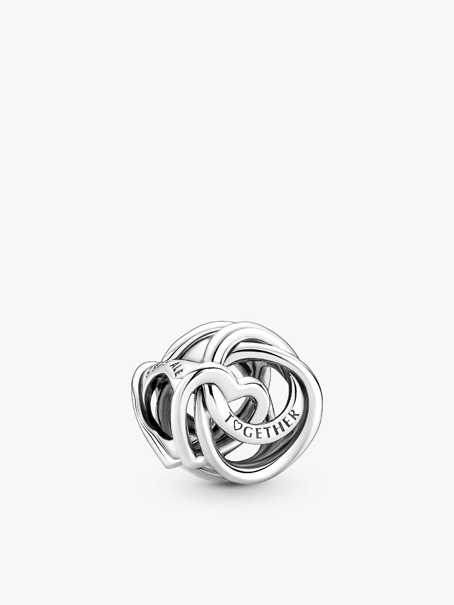 Charm Cœur et Cercles Ma Famille Pour Toujours