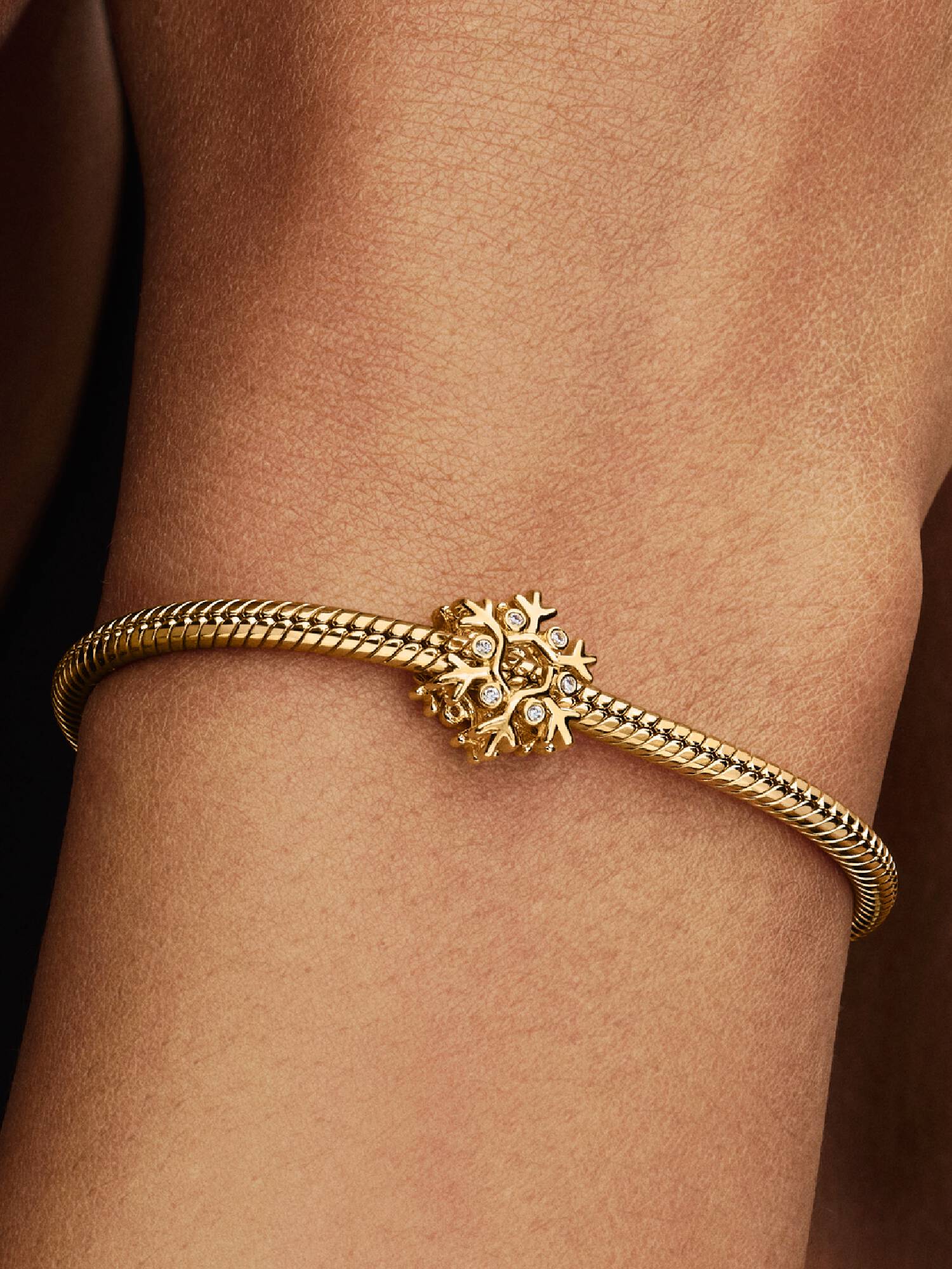 Charm Flocon de Neige