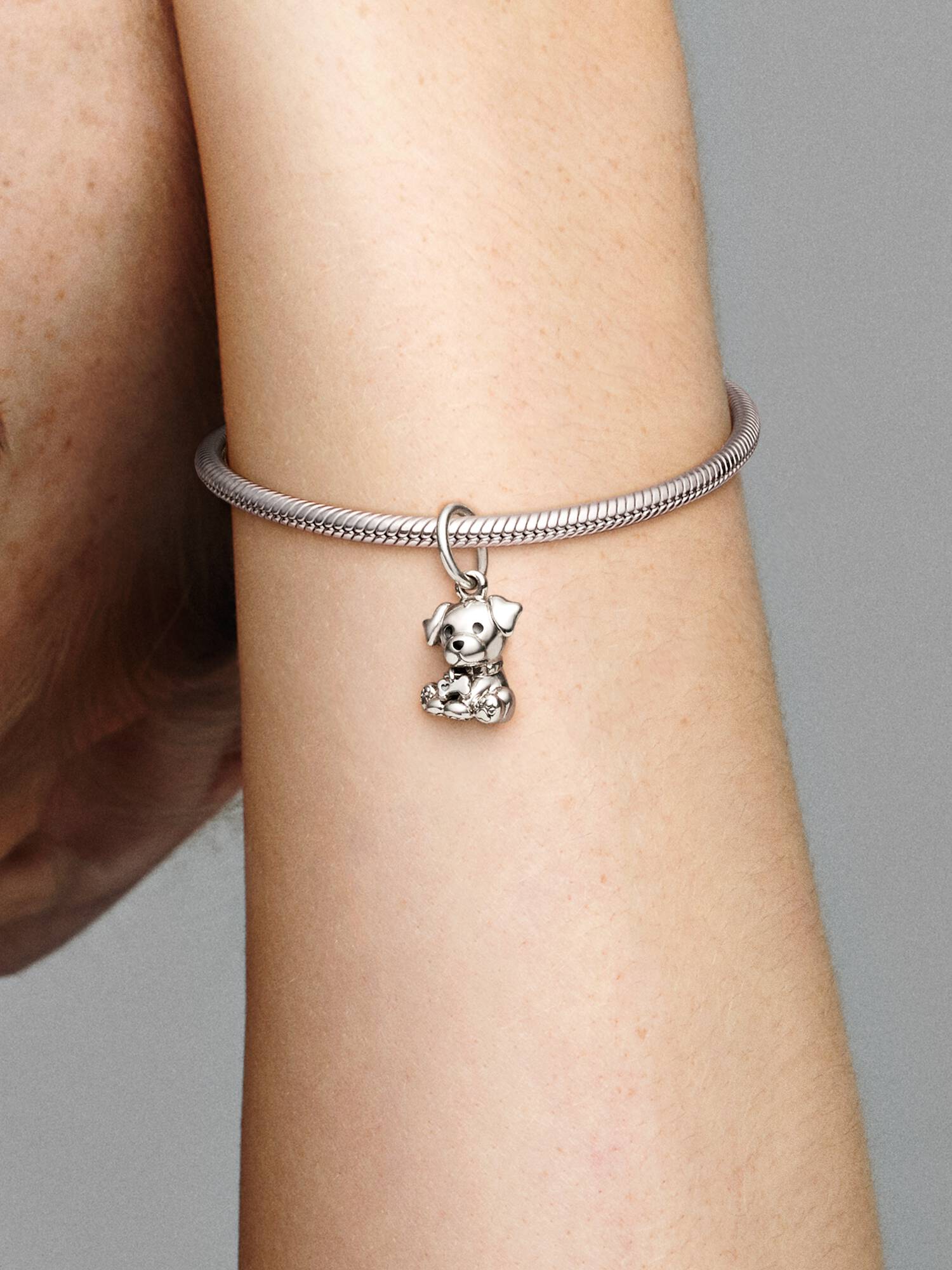 Labrador Puppy Dog Hangende Bedel