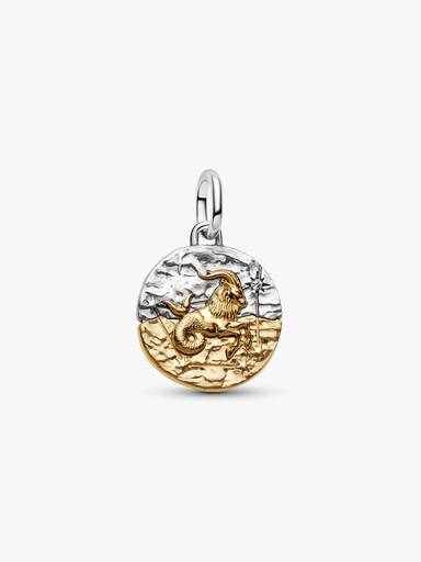 Charm Médaillon Zodiaque Capricorne