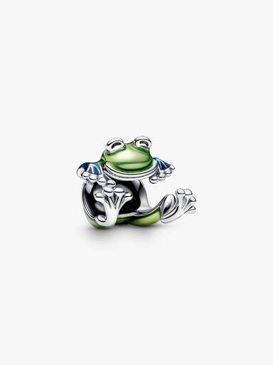 Charm Grenouille Grimpante