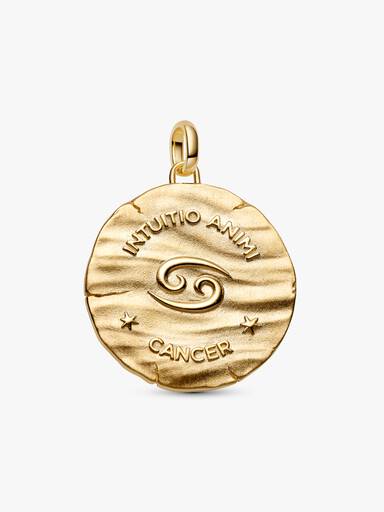 Charm Médaillon XL Zodiaque Cancer