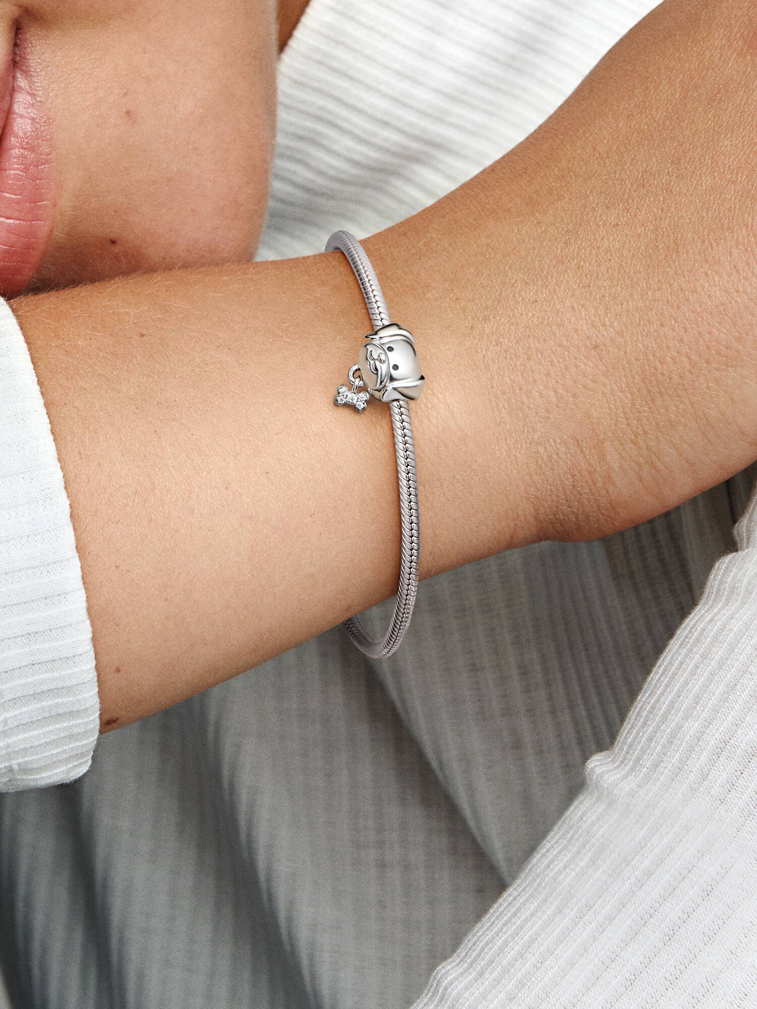Charm Chien & Os