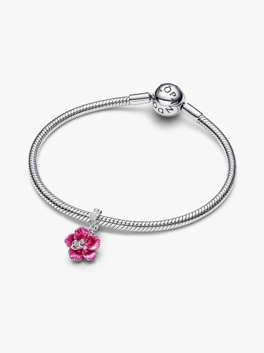 Hibiscus Hangende Bedel