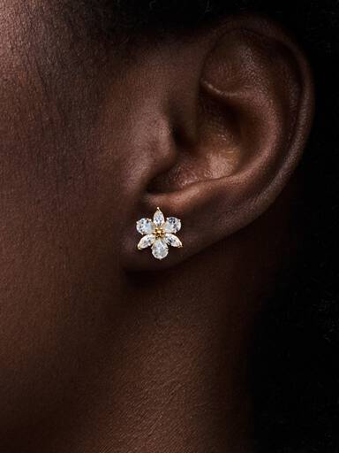 Clous d’Oreilles Herbier Scintillant