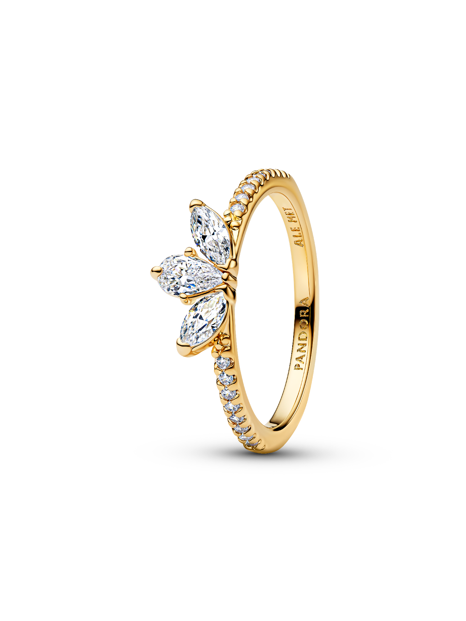 Sprankelende Herbarium Cluster Ring