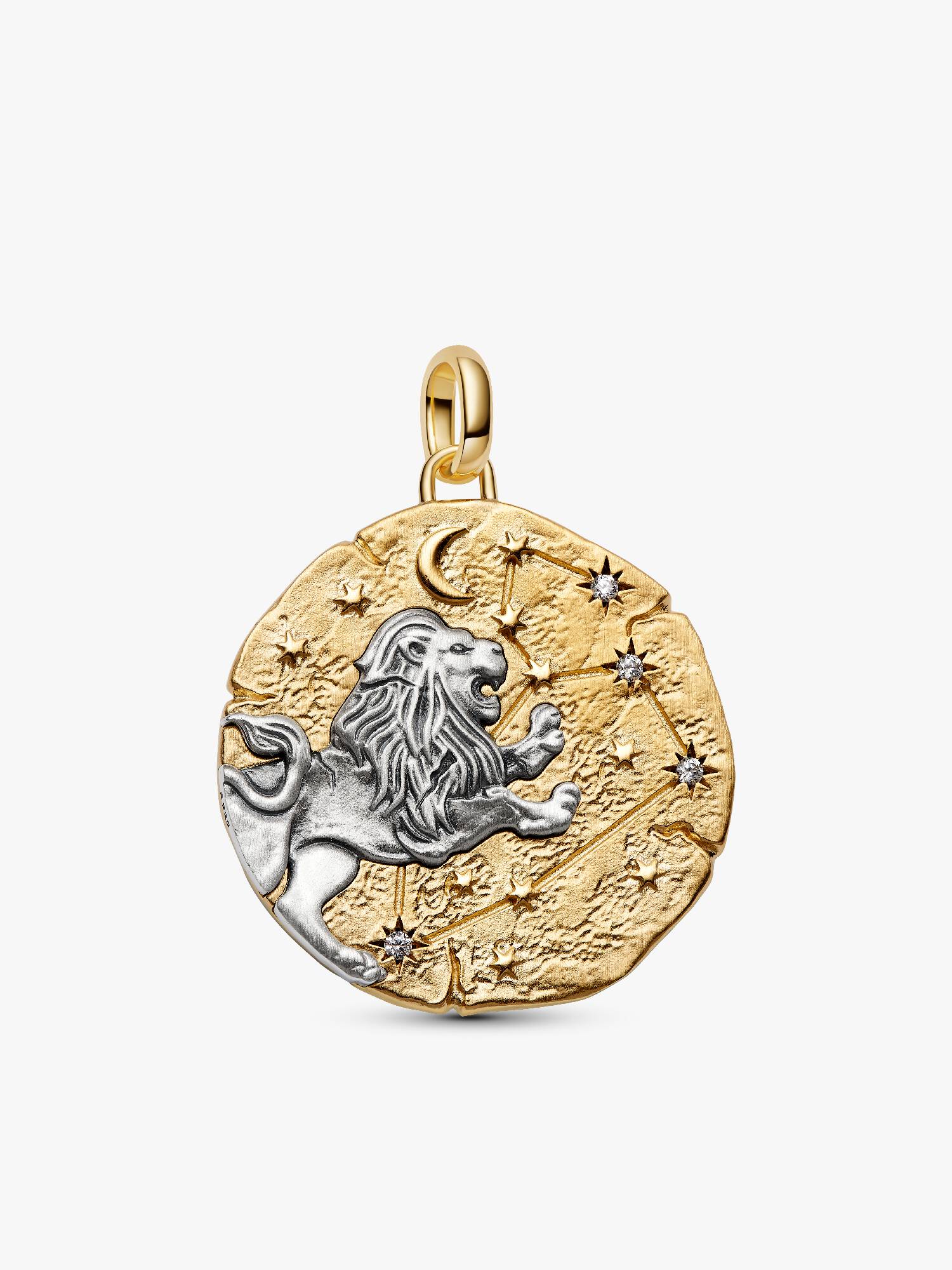Leeuw Oversized Dierenriem Medaillonbedel