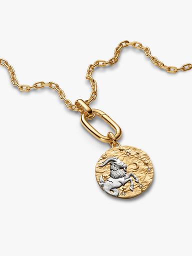 Charm Médaillon XL Zodiaque Capricorne
